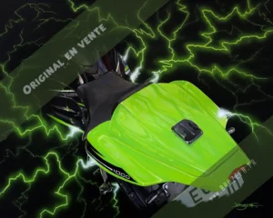 "Kawasaki Ninja 1000 ZX-10R", par Bruzefh