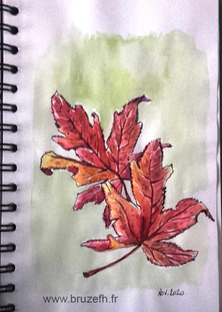 Croquis de Bruzefh réalisé au cours d'une balade en forêt en automne 2020